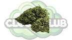 AK-47 6% CBD PREMIUM