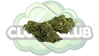 AK-47 6% CBD PREMIUM