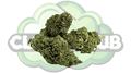 AK-47 6% CBD PREMIUM