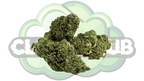 AK-47 6% CBD PREMIUM