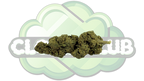 CANDY KUSH 16% CBD PREMIUM