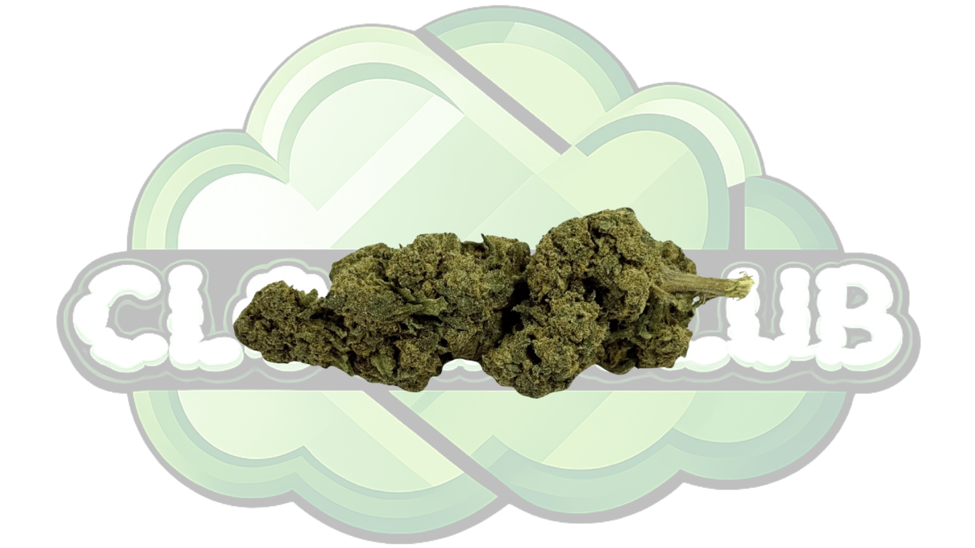CANDY KUSH 16% CBD PREMIUM