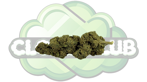 CANDY KUSH 16% CBD PREMIUM