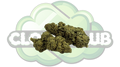 CANDY KUSH 16% CBD PREMIUM