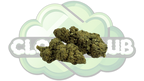 CANDY KUSH 16% CBD PREMIUM
