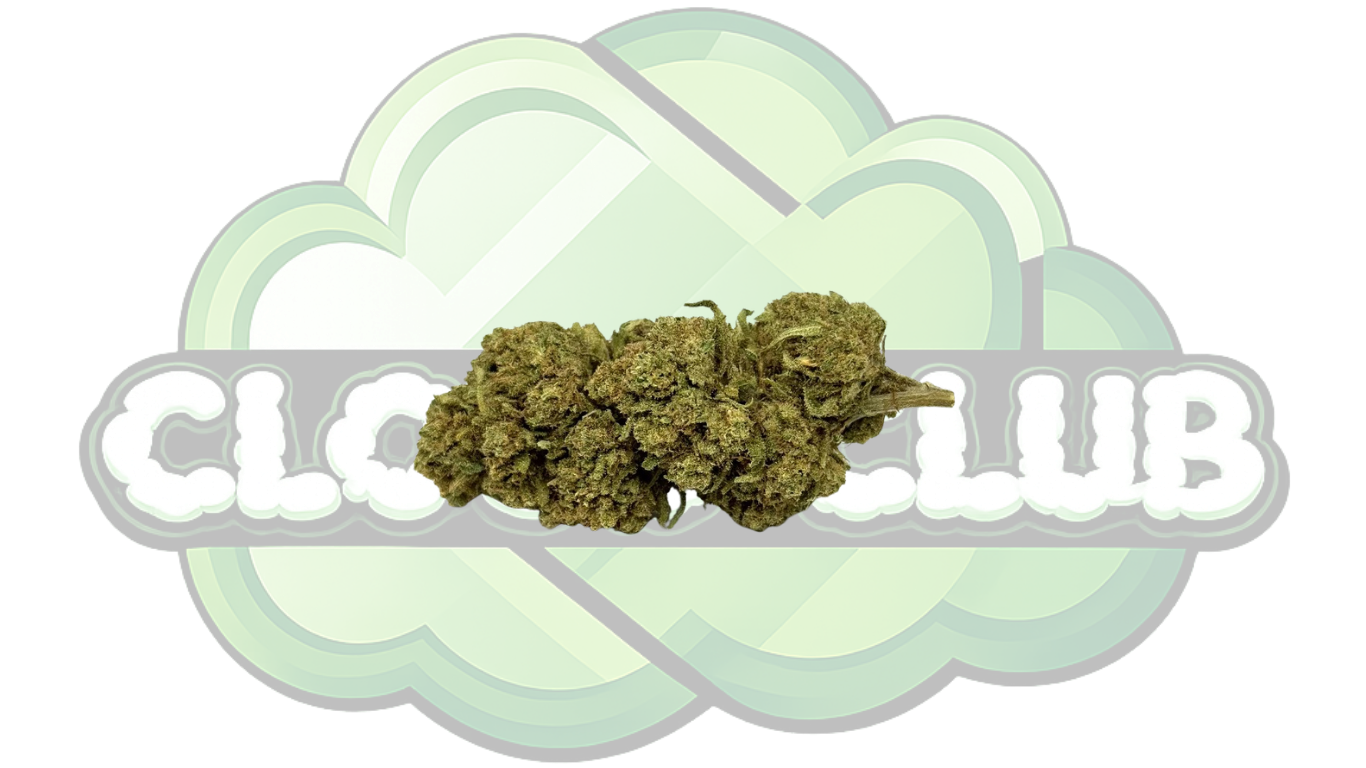 AMNESIA HAZE 12% CBD PREMIUM
