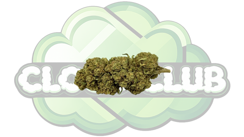 AMNESIA HAZE 12% CBD PREMIUM