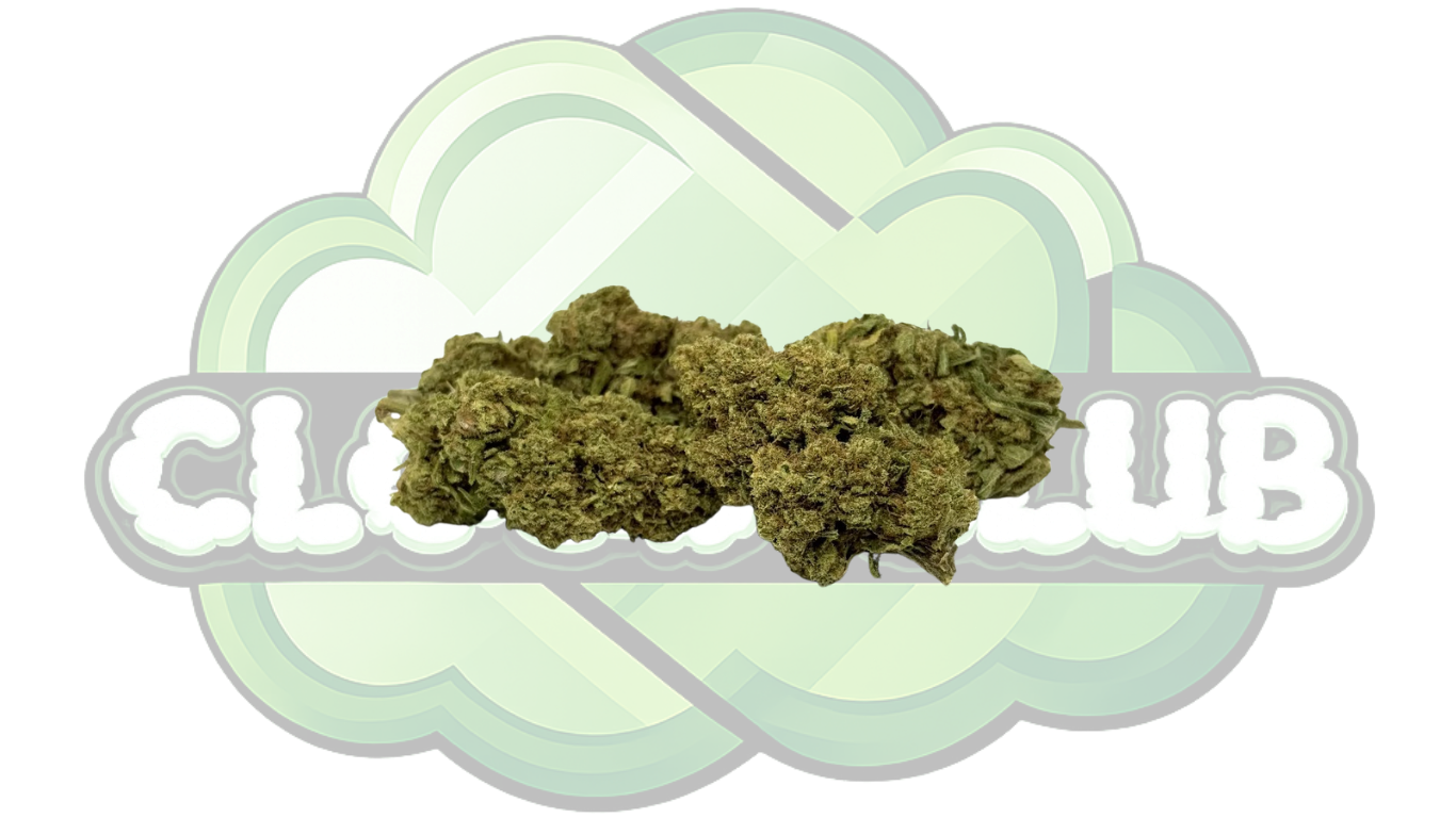 AMNESIA HAZE 12% CBD PREMIUM