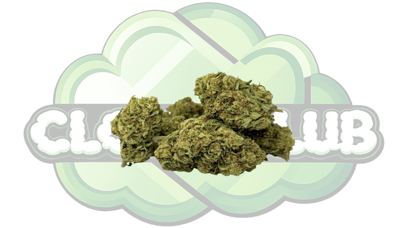 AMNESIA HAZE 12% CBD PREMIUM