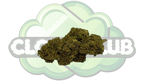 CANNATONIC 10% CBD PREMIUM