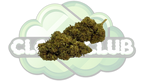 CANNATONIC 10% CBD PREMIUM