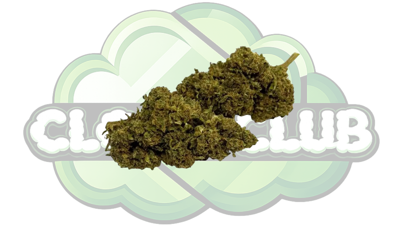 CANNATONIC 10% CBD PREMIUM