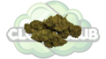 CANNATONIC 10% CBD PREMIUM