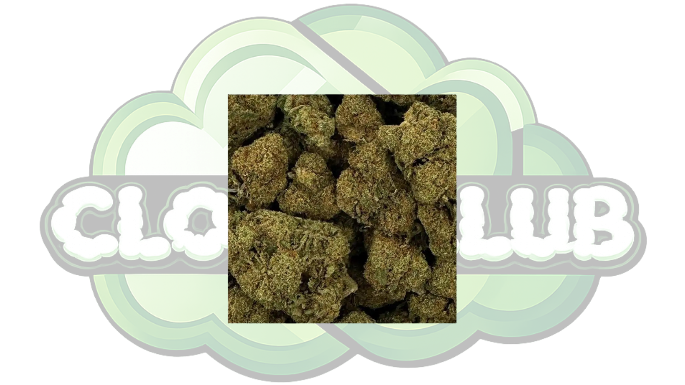 RASPBERRY HAZE 16% CBD PREMIUM