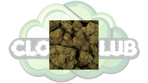 RASPBERRY HAZE 16% CBD PREMIUM