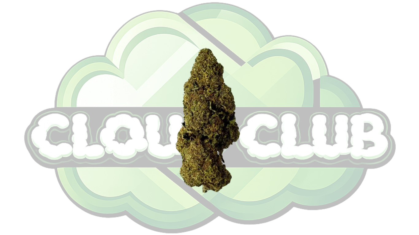 RASPBERRY HAZE 16% CBD PREMIUM