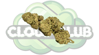 REMEDY 17% CBD PREMIUM