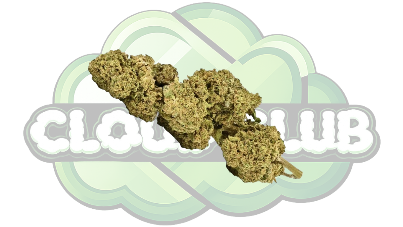 REMEDY 17% CBD PREMIUM