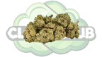 REMEDY 17% CBD PREMIUM