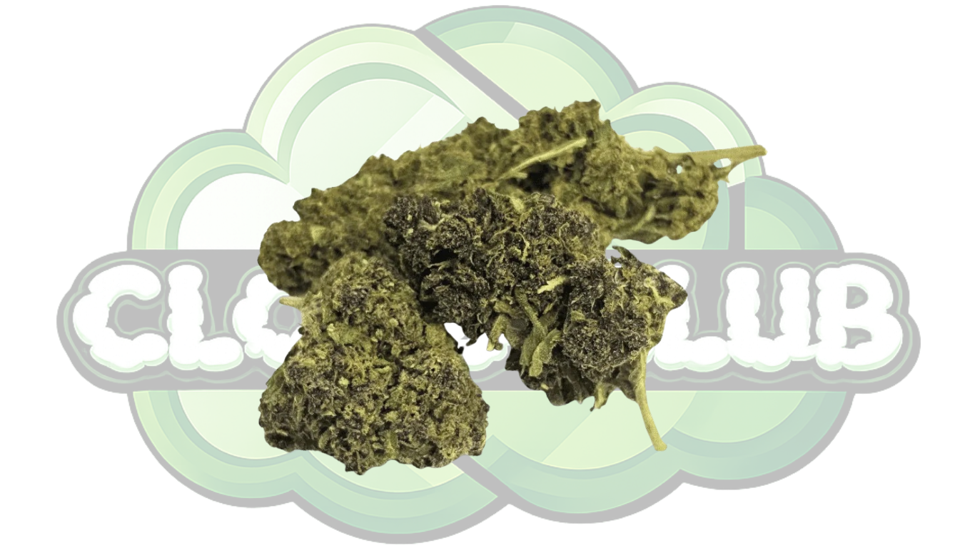 SAPHIR HYBRIDE 15% CBD PREMIUM