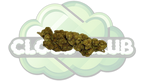 STRAWBERRY HAZE 10% CBD PREMIUM