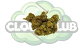 STRAWBERRY HAZE 10% CBD PREMIUM