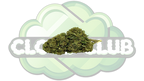 GORILLA GLUE 13% CBD PREMIUM