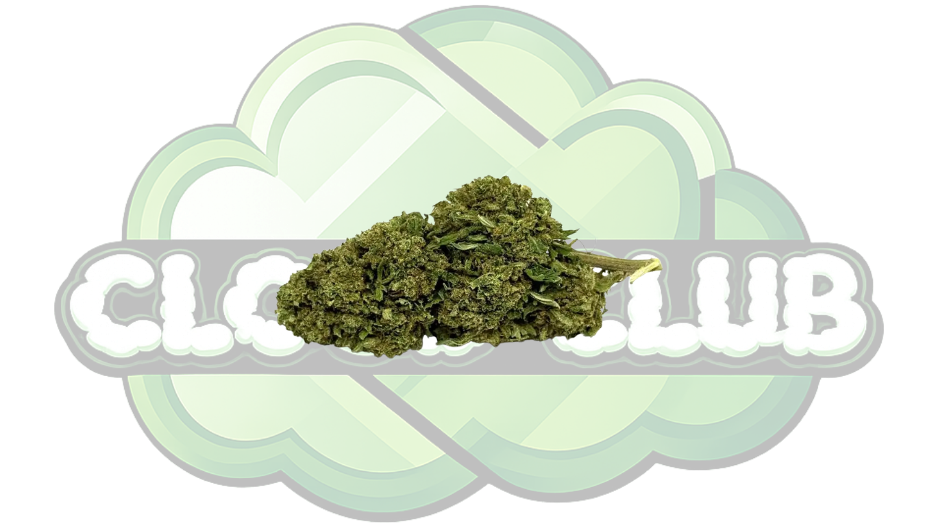 GORILLA GLUE 13% CBD PREMIUM