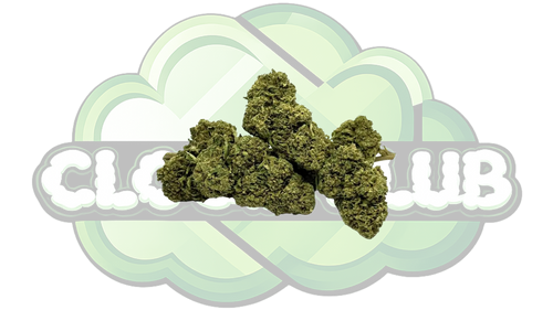 GORILLA GLUE 13% CBD PREMIUM