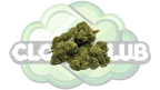 GORILLA GLUE 13% CBD PREMIUM