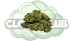 GORILLA GLUE 13% CBD PREMIUM