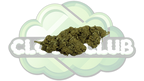 SUPER SILVER HAZE 12% CBD PREMIUM