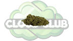 SUPER SILVER HAZE 12% CBD PREMIUM